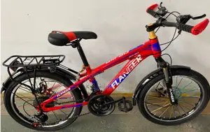 G111 Flanger Bike Size 20