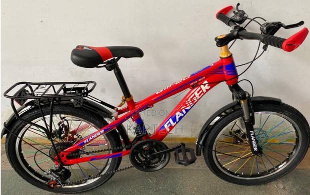 G111 Flanger Bike Size 20 - main view