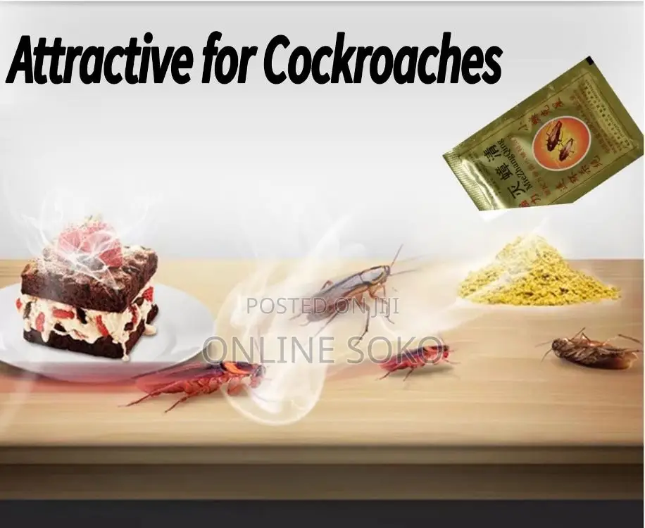 Effective Cockroach Killing Powder - (50 PCS/Full Box)