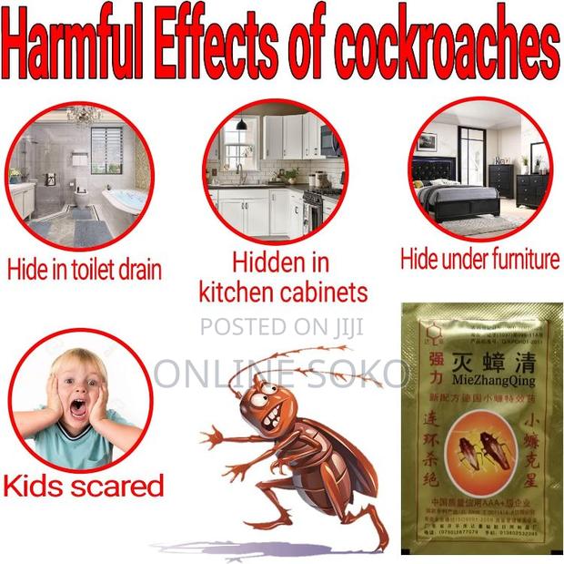 Effective Cockroach Killing Powder - (50 PCS/Full Box) - thumbnail 4