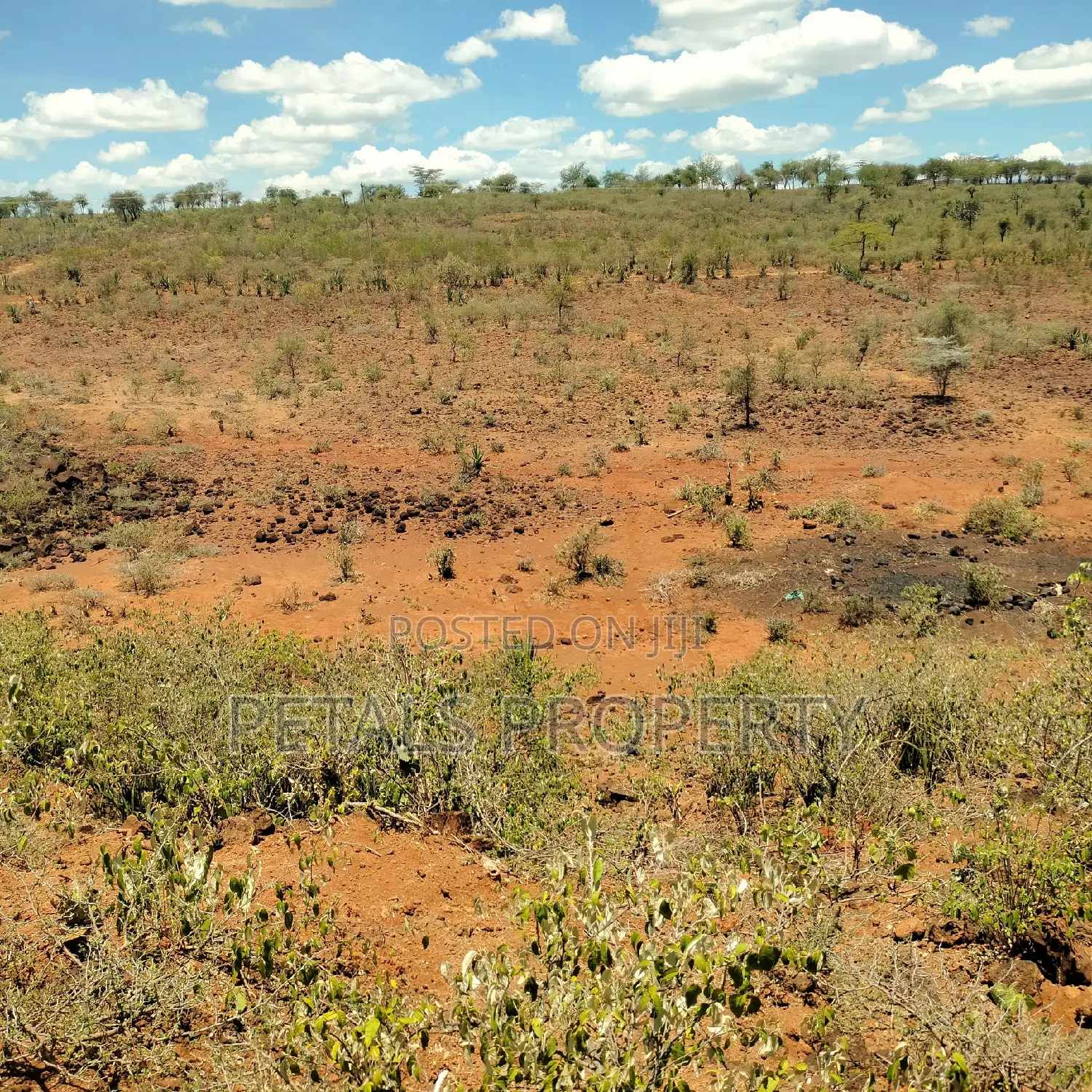 20 Acres for Sale in Mogotio