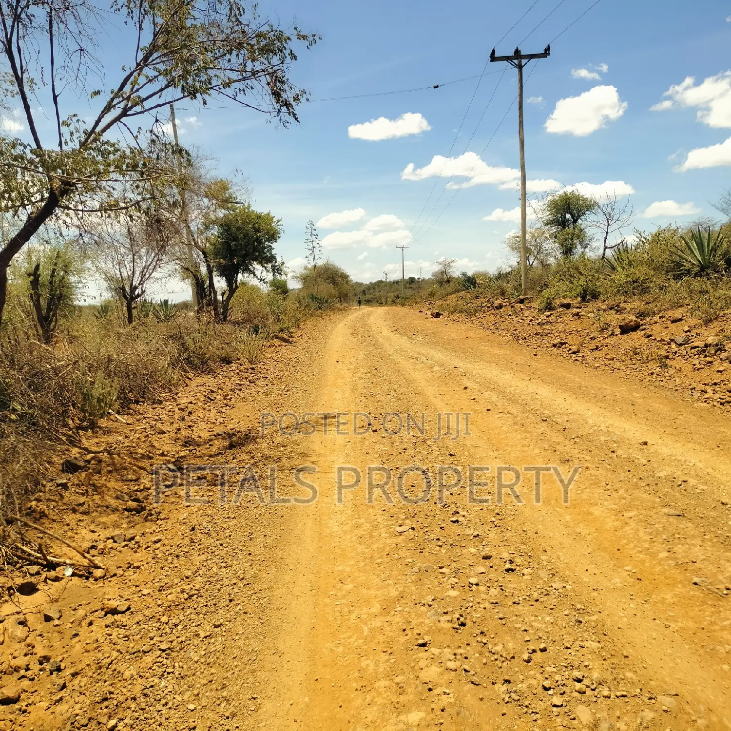 20 Acres for Sale in Mogotio