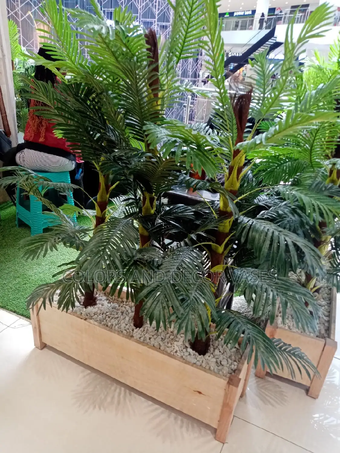Palm Trees for Restaurants Decor