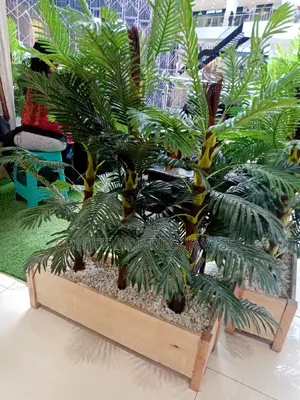 Palm Trees for Restaurants Decor
