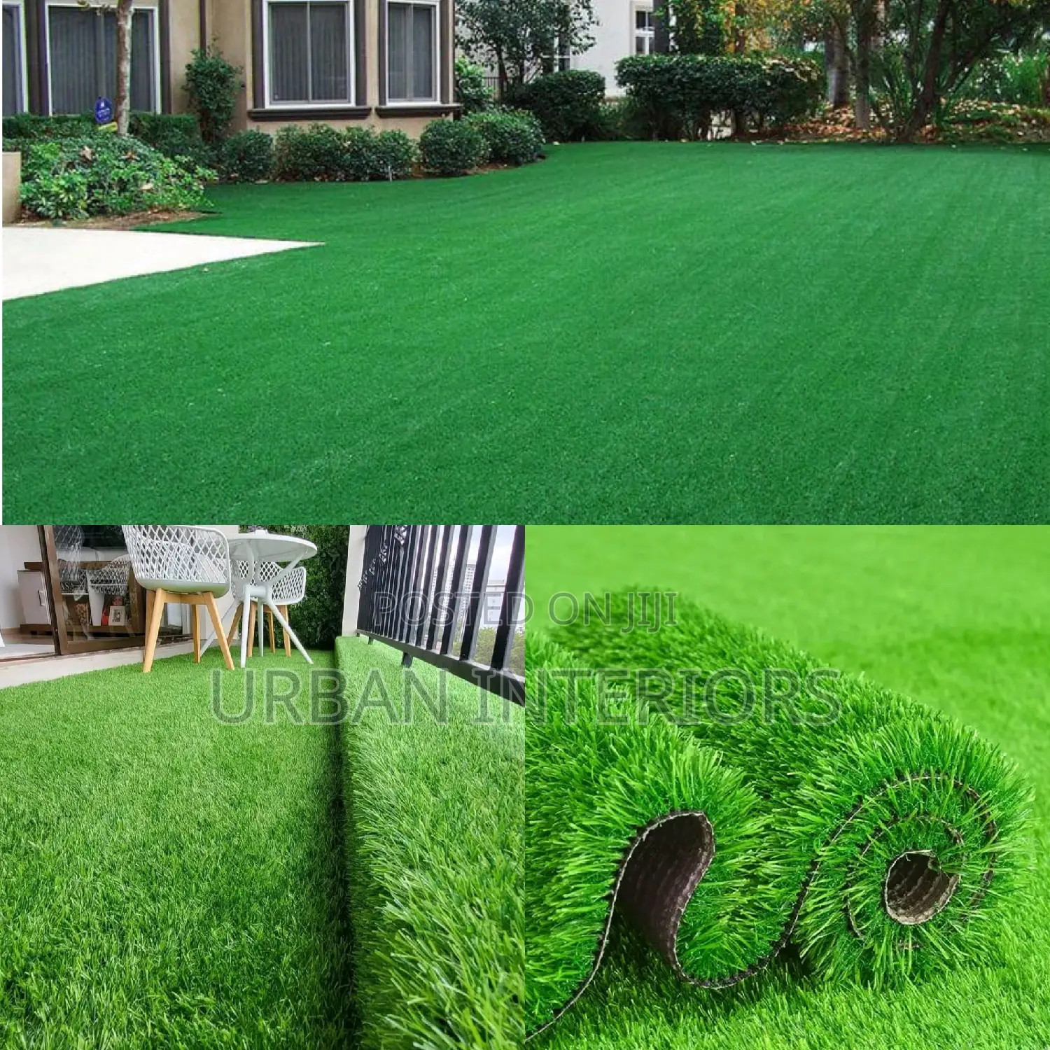 Grass Carpet Grass Carpet Grass Carpet Grass Carpet