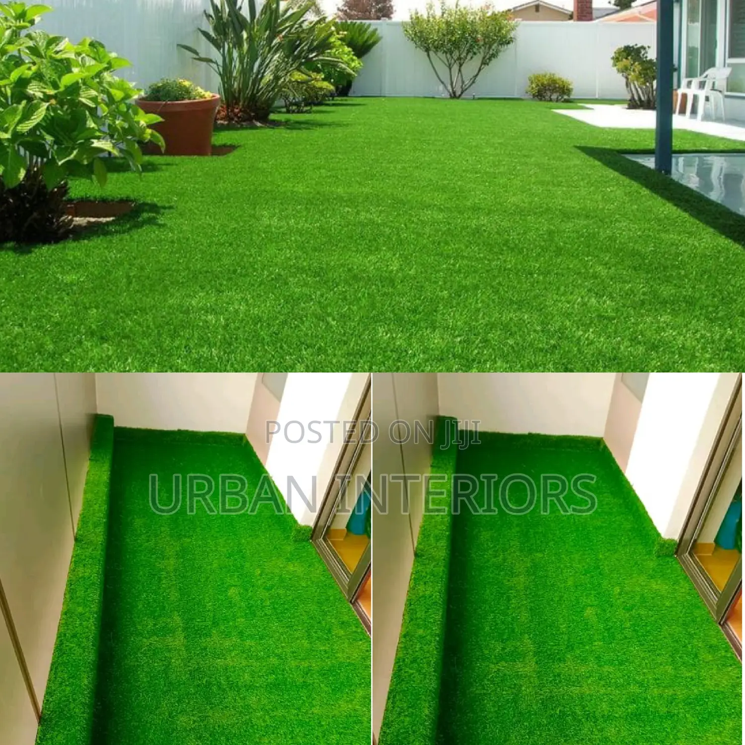 Grass Carpet
