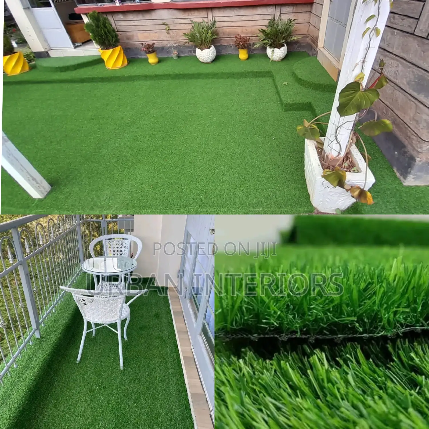 Grass Carpet Grass Carpet Grass Carpet Grass Carpet