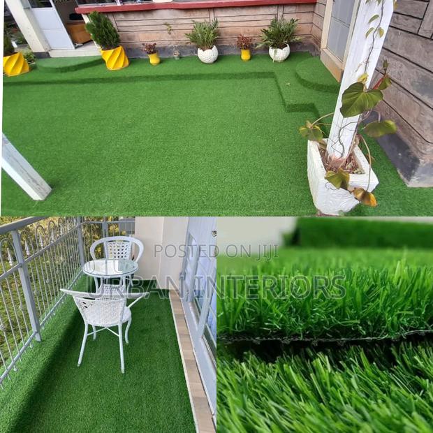 Grass Carpet Grass Carpet Grass Carpet Grass Carpet - main view