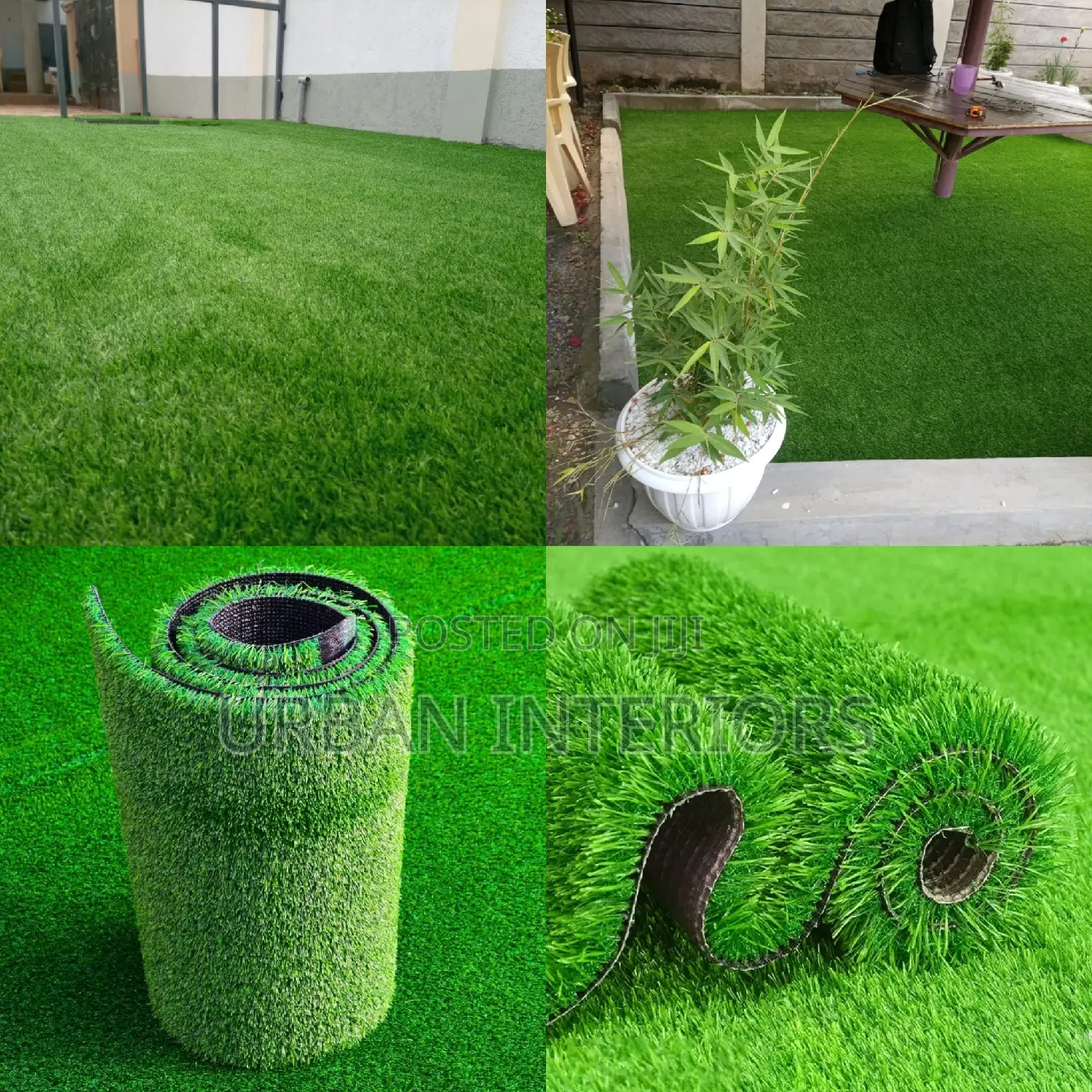 Grass Carpet Grass Carpet Grass Carpet Grass Carpet