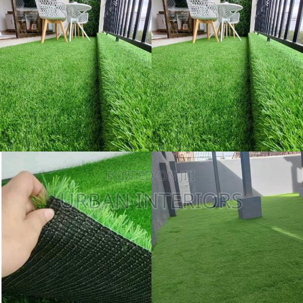 Grass Carpet Grass Carpet Grass Carpet Grass Carpet - main view