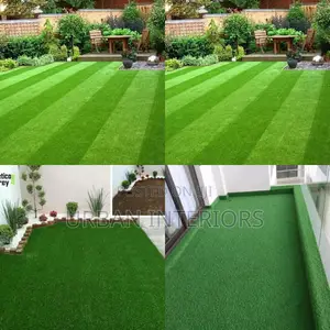 Grass Carpet Grass Carpet Grass Carpet Grass Carpet