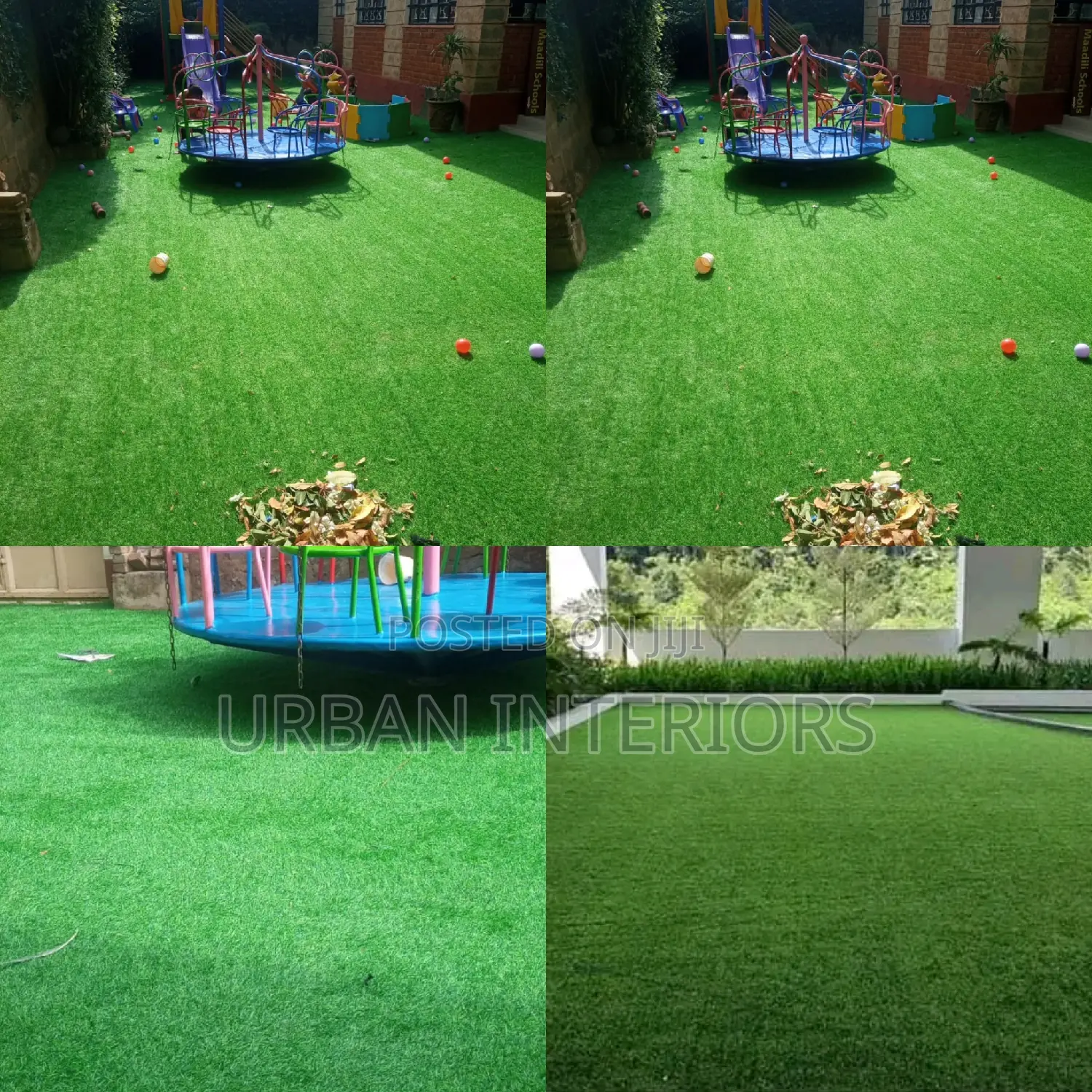 Grass Carpet Grass Carpet Grass Carpet Grass Carpet Grass
