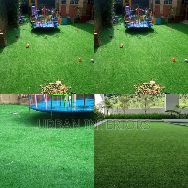 Grass Carpet Grass Carpet Grass Carpet Grass Carpet Grass