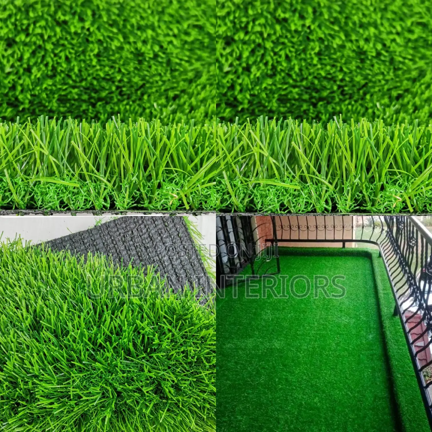 Grass Carpet Grass Carpet Grass Carpet Grass Carpet