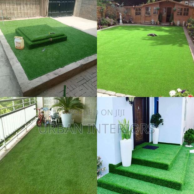 Grass Carpet Grass Carpet Grass Carpet Grass Carpet - main view