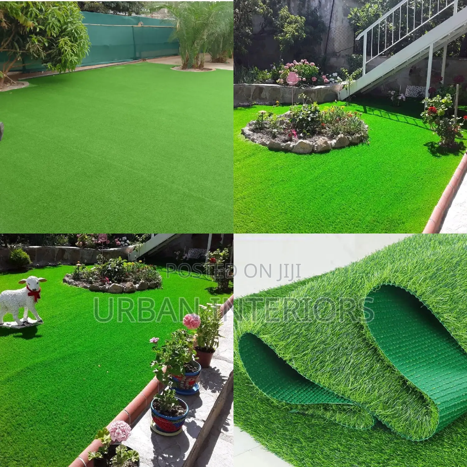 Grass Carpet Grass Carpet Grass Carpet Grass Carpet