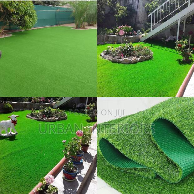 Grass Carpet Grass Carpet Grass Carpet Grass Carpet