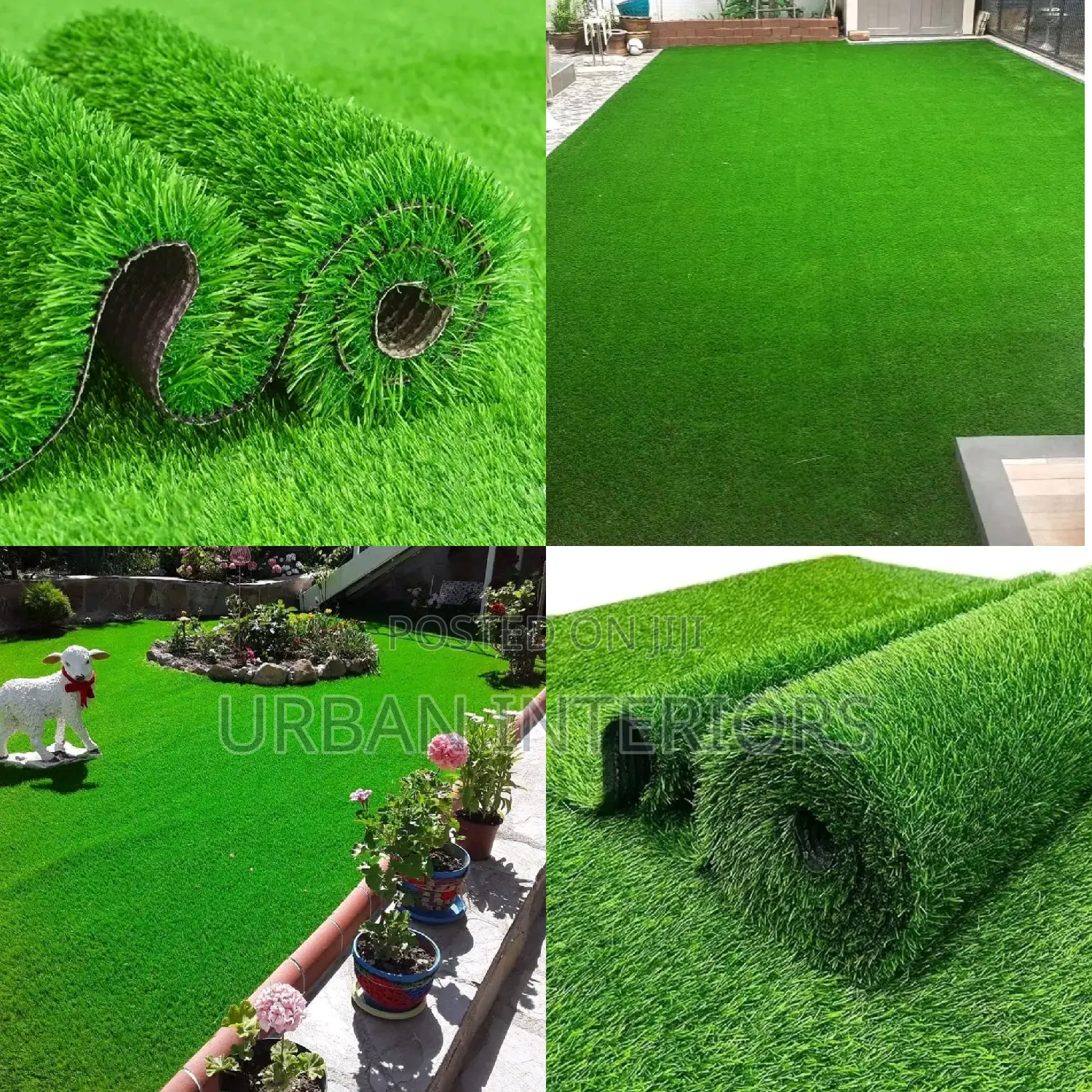 Grass Carpet Grass Carpet Grass Carpet Grass Carpet