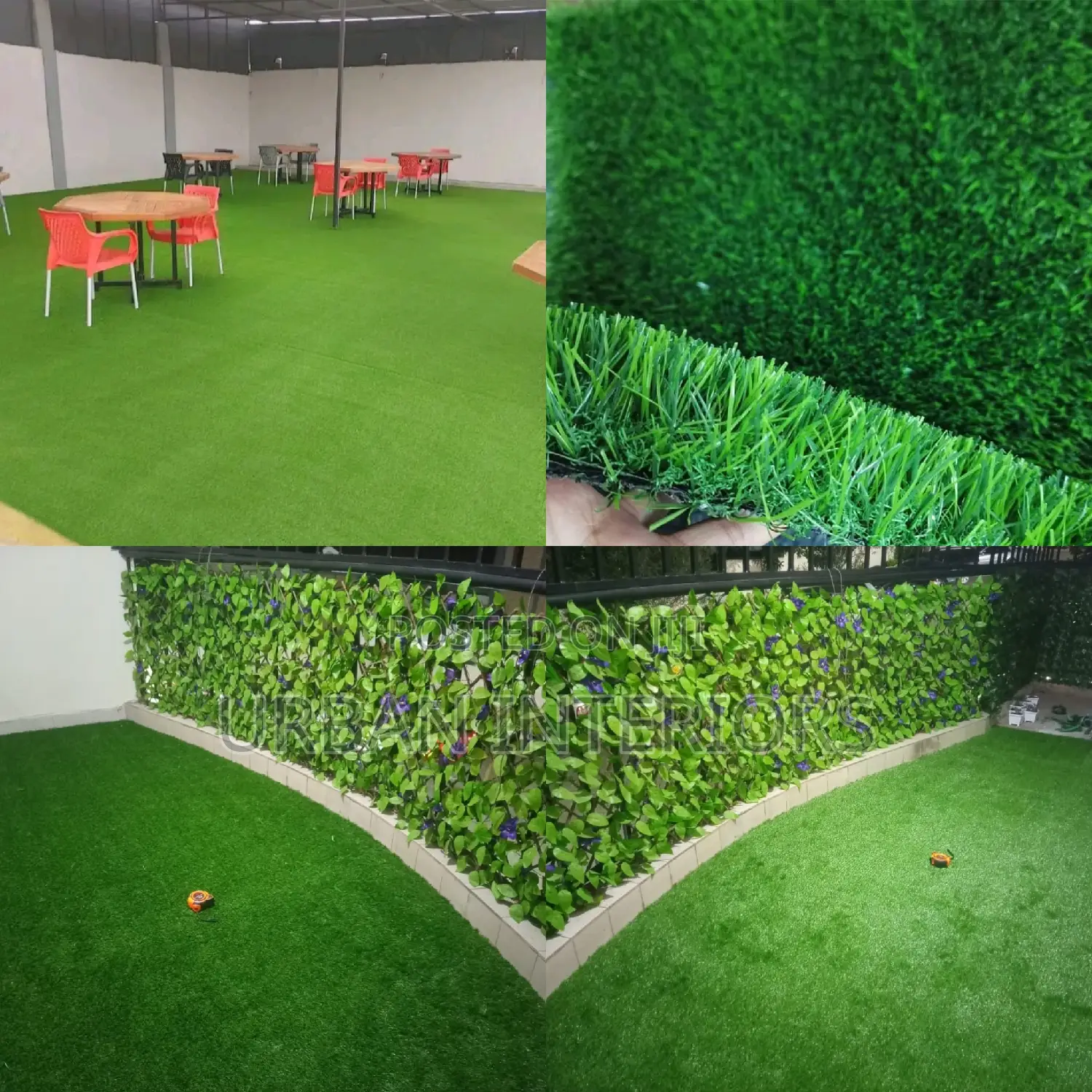 Grass Carpet Grass Carpet Grass Carpet Grass Carpet