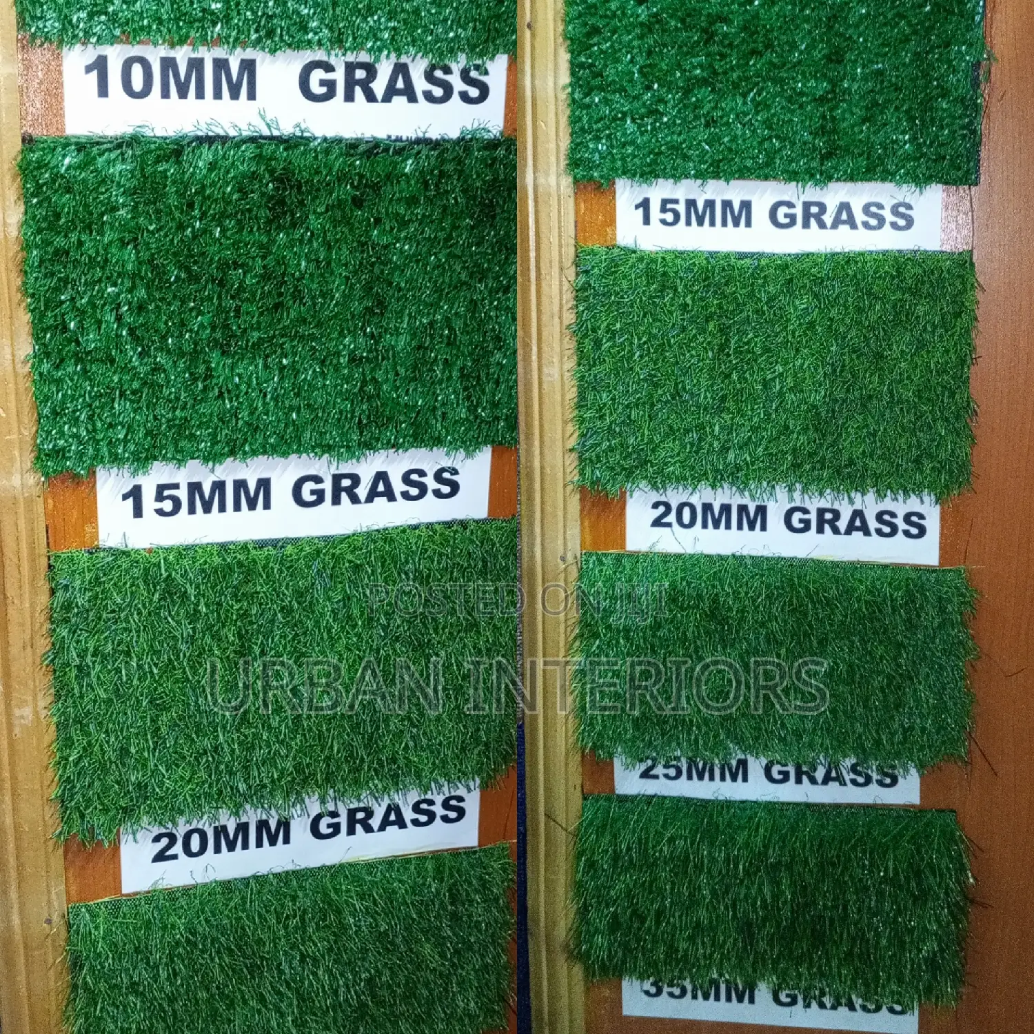 Grass Carpet Grass Carpet Grass Carpet Grass Carpet