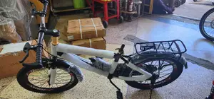 Ungeared Bicycle