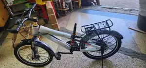 Ungeared Bicycle