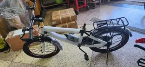 Ungeared Bicycle
