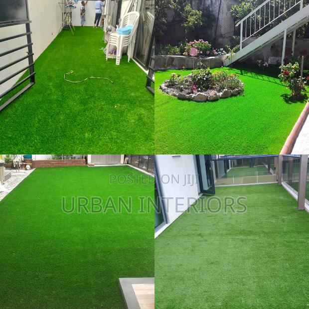 Grass Carpet Grass Carpet Grass Carpet Grass Carpet - main view