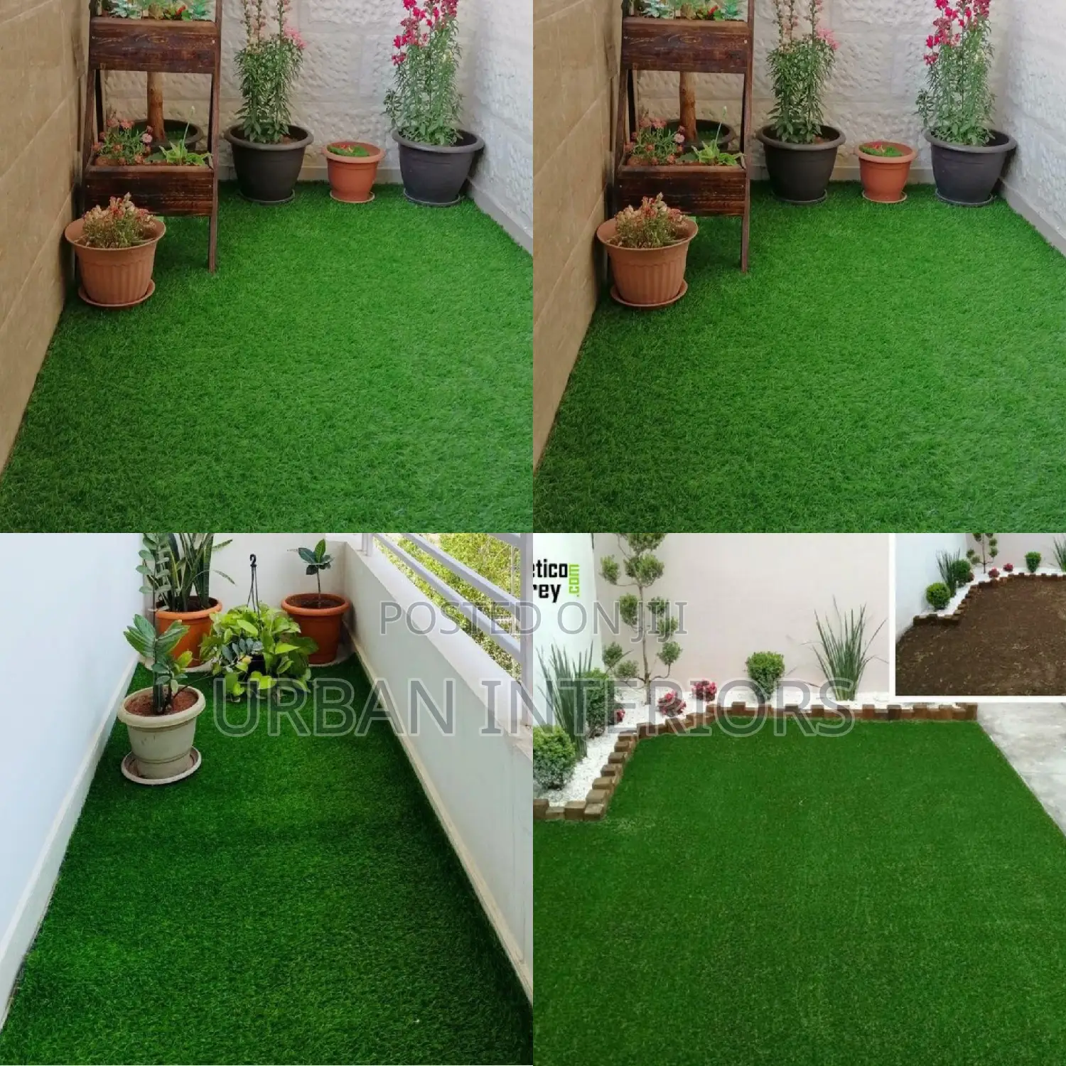 Grass Carpet Grass Carpet Grass Carpet Grass Carpet