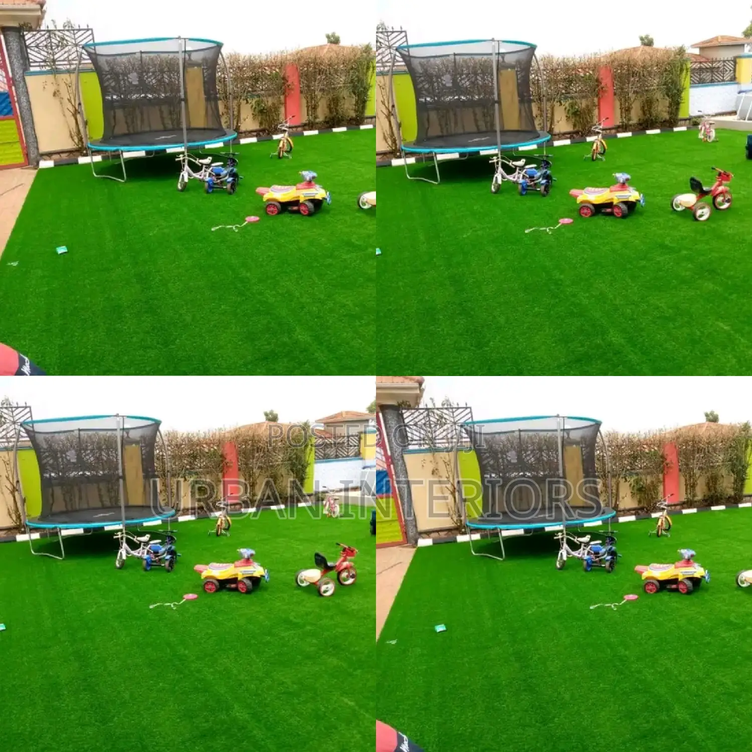 Grass Carpet Grass Carpet Grass Carpet Grass Carpet