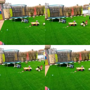 Grass Carpet Grass Carpet Grass Carpet Grass Carpet - main view