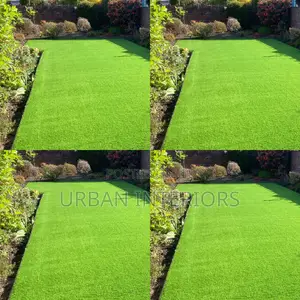 Grass Carpet Grass Carpet Grass Carpet Grass Carpet