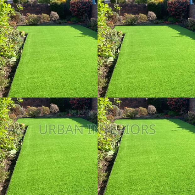 Grass Carpet Grass Carpet Grass Carpet Grass Carpet
