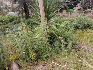 Plots on Sale in Kangemi Along Waiyaki Way