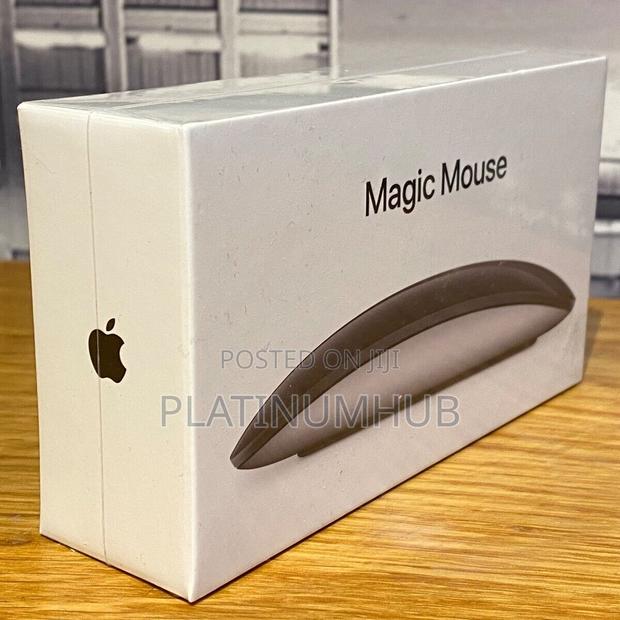 Magic Mouse Rd5 - main view