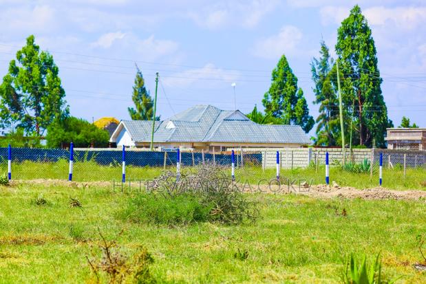 Katani Plots at 1.6M ^JO - main view