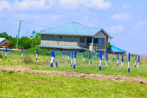 Katani Plots at 1.6M ^JO