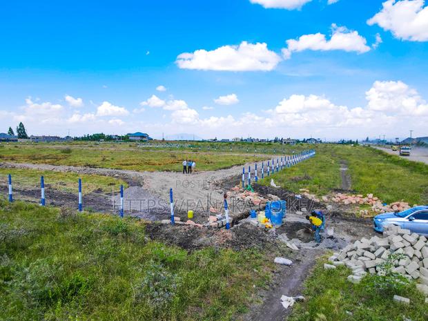 Katani Plots at 1.6M ^JO - thumbnail 6