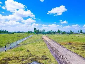 Katani Plots Under 2M ^JO