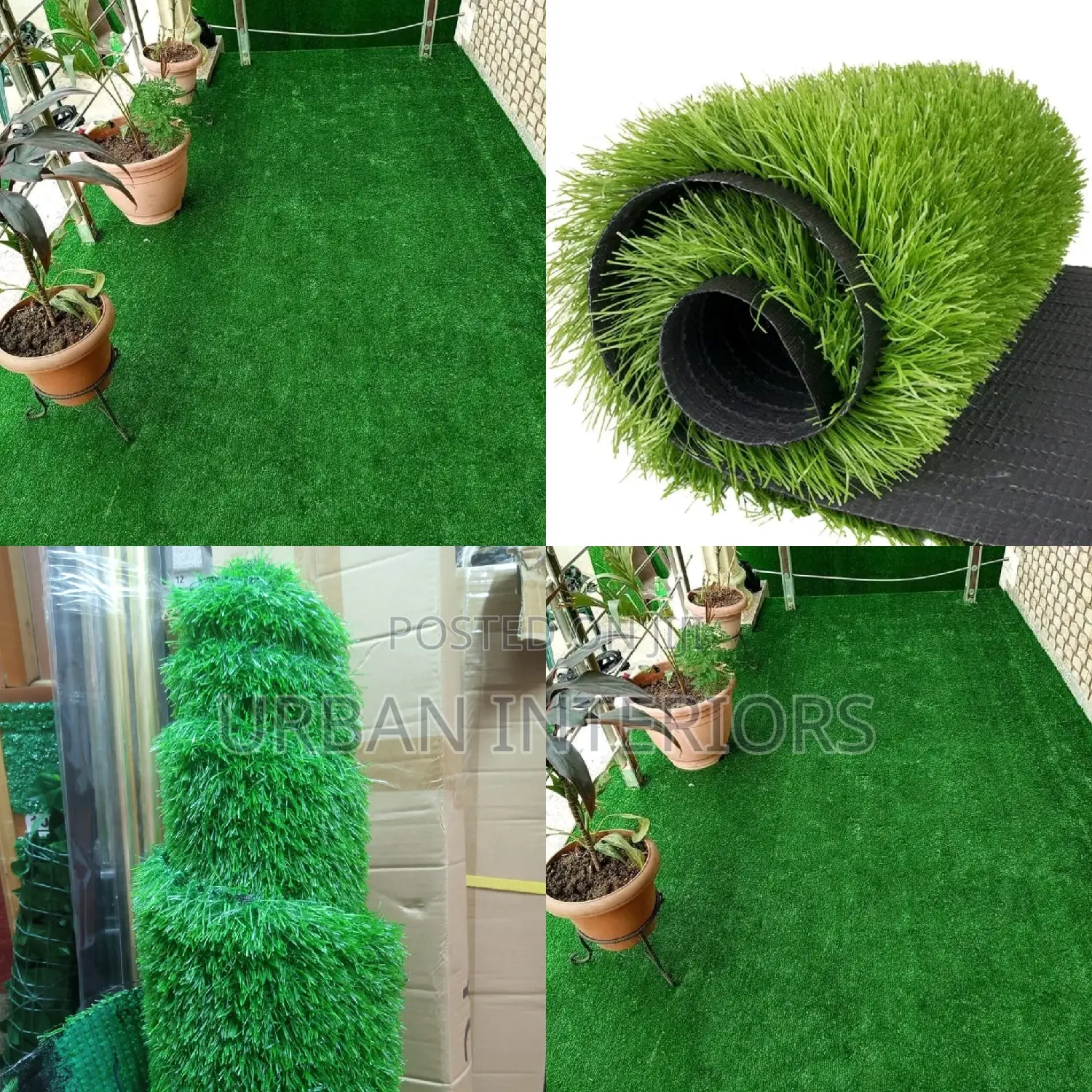 Grass Carpet Grass Carpet Grass Carpet Grass Carpet