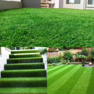 Grass Carpet Grass Carpet Grass Carpet Grass Carpet