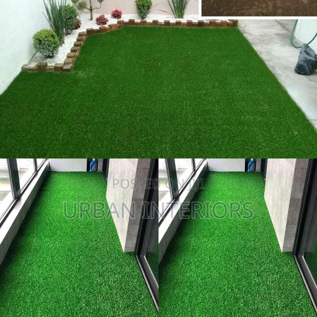 Grass Carpet Grass Carpet Grass Carpet Grass Carpet - main view
