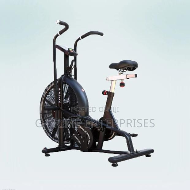 Domestic Air Bike