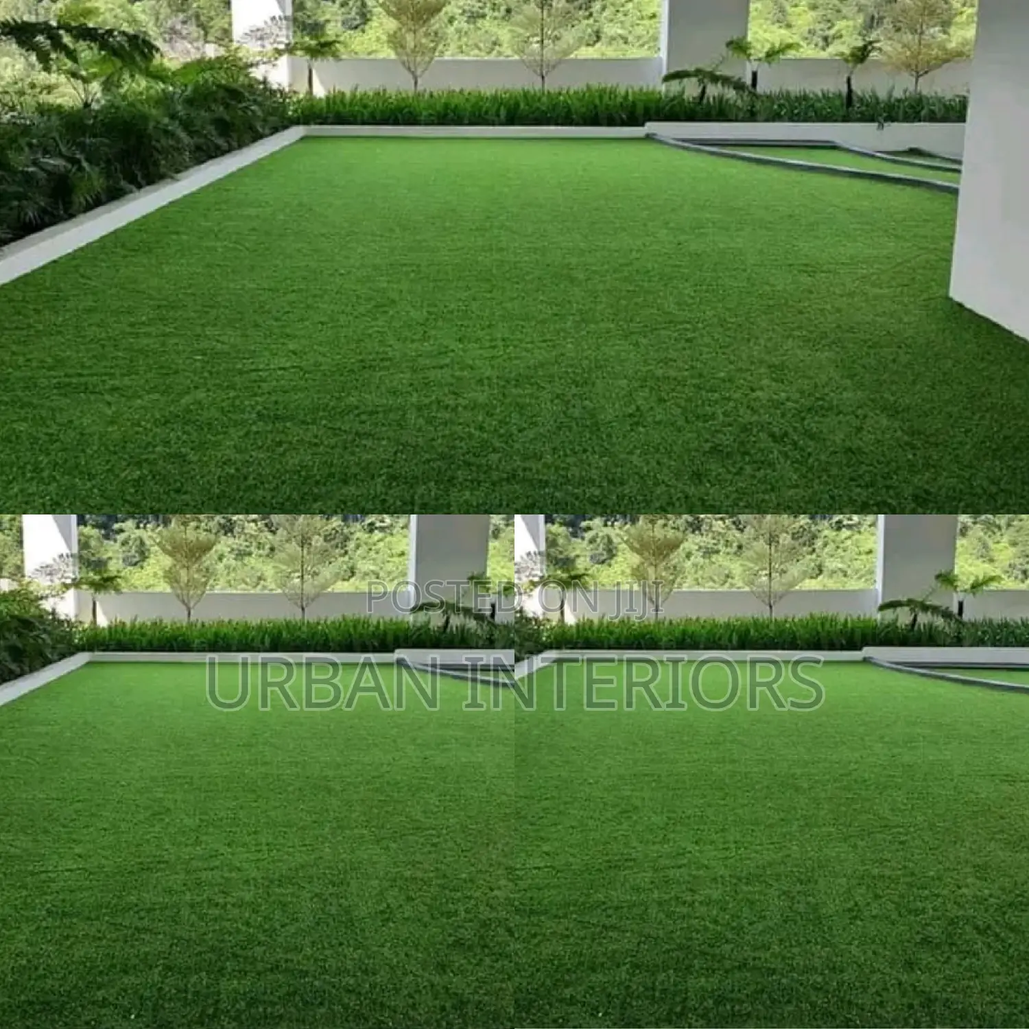 Grass Carpet Grass Carpet Grass Carpet Grass Carpet