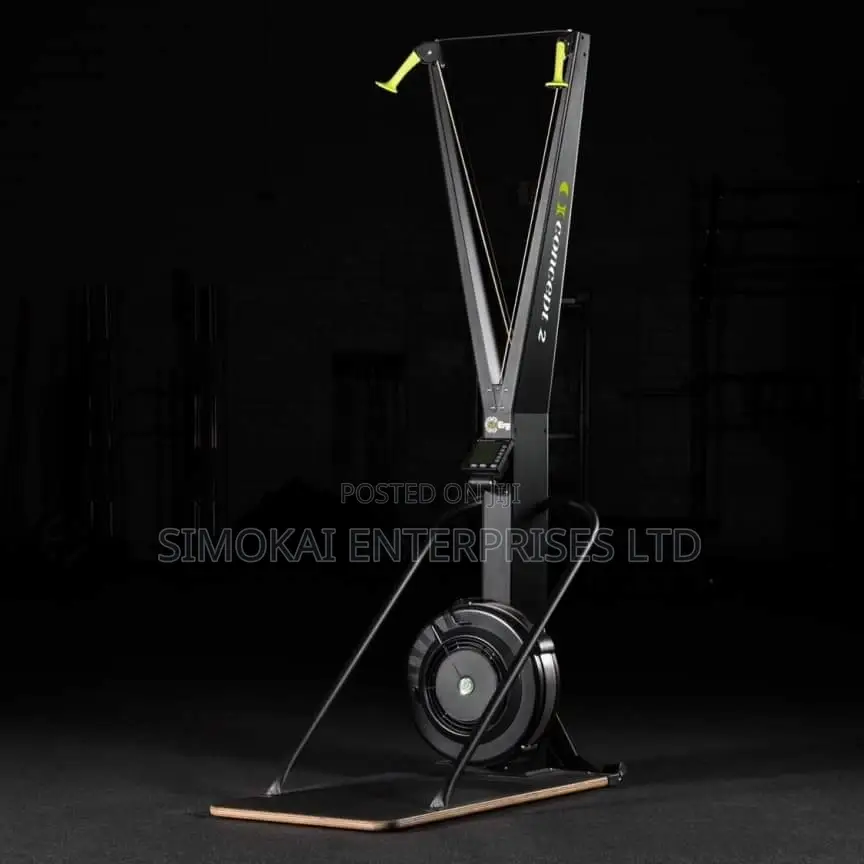 Skierg Gym Machine Ski Trainer