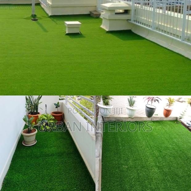 Grass Carpet Grass Carpet Grass Carpet Grass Carpet - main view