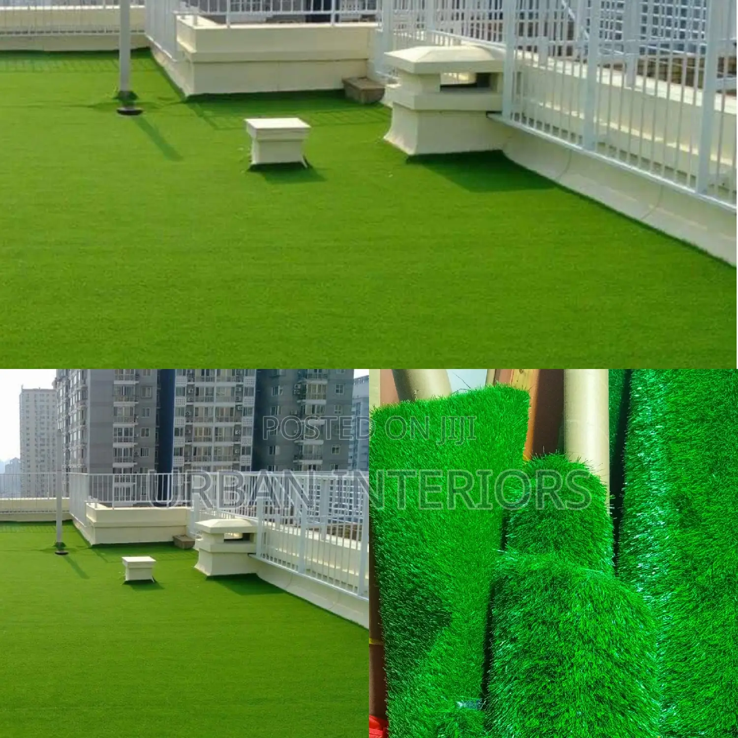 Grass Carpet Grass Carpet Grass Carpet Grass Carpet