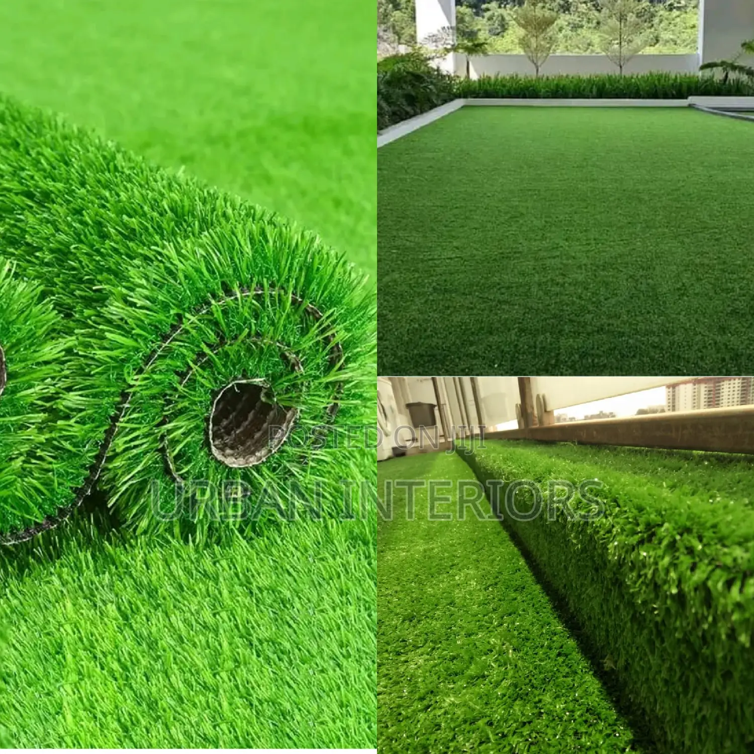 Grass Carpet Grass Carpet Grass Carpet Grass Carpet