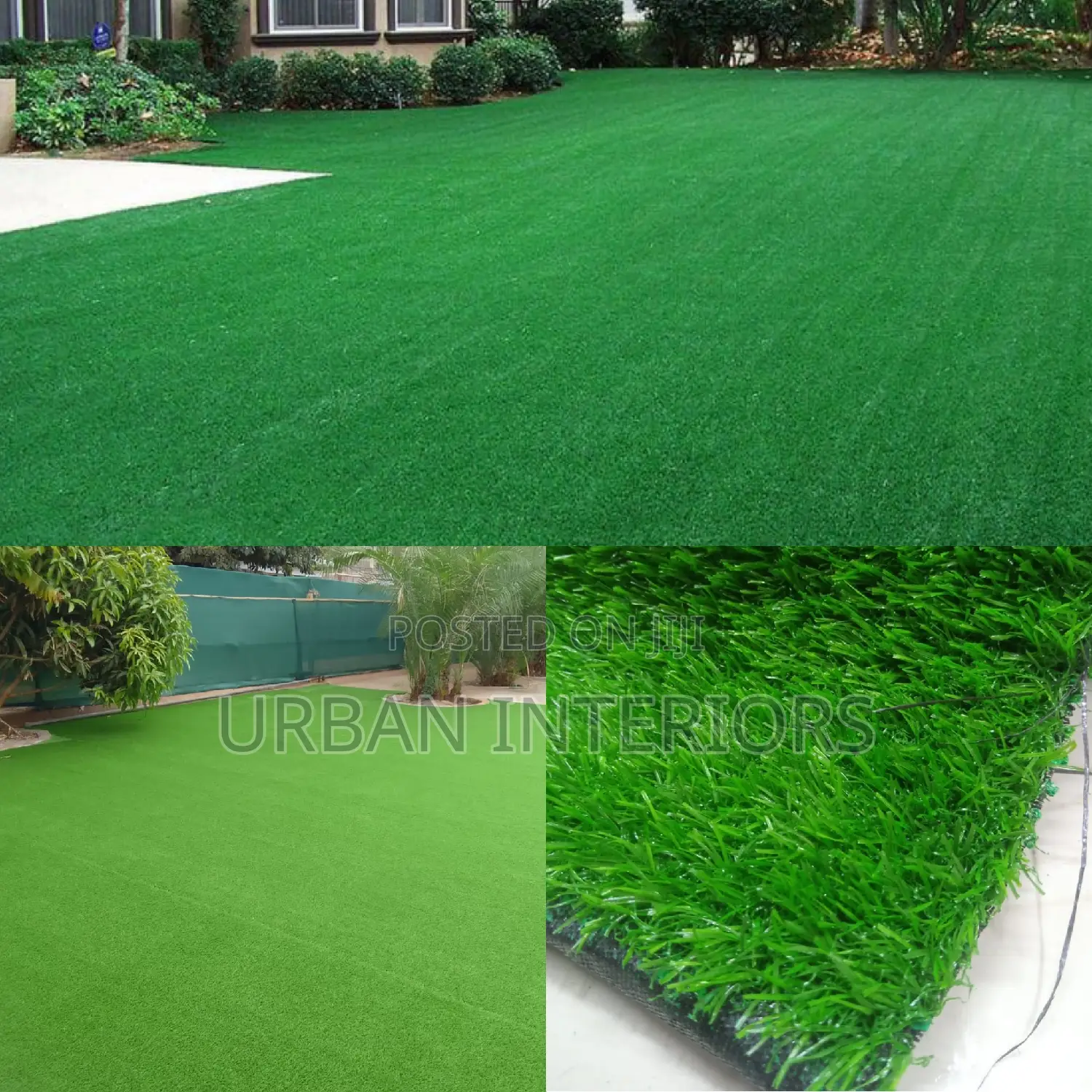 Grass Carpet Grass Carpet Grass Carpet Grass Carpet