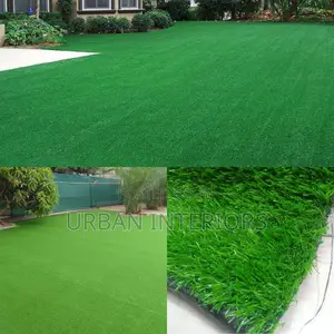 Grass Carpet Grass Carpet Grass Carpet Grass Carpet